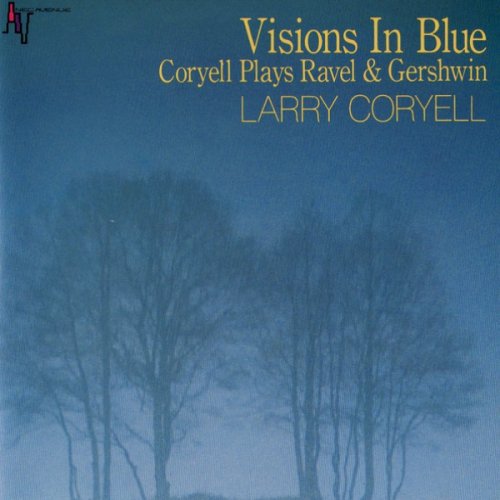 Larry Coryell - Visions in Blue (1989)