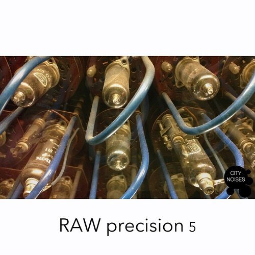 VA - Raw Precision 5 (2017)