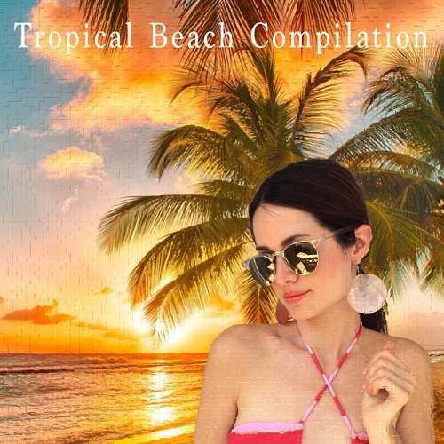 VA - Tropical Beach Compilation (2017)
