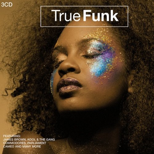 VA - True Funk (2007) FLAC