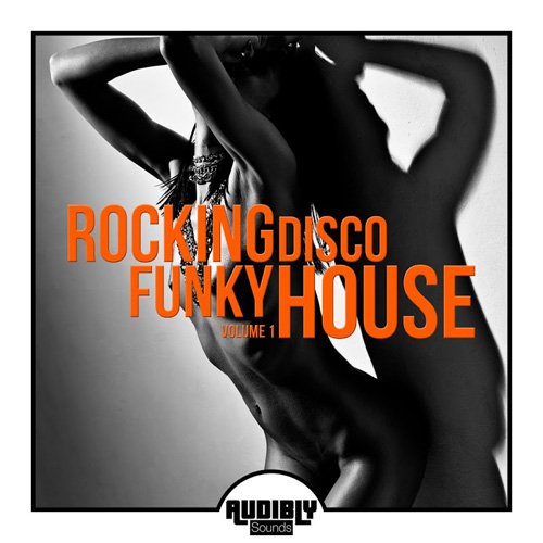 VA - Rocking Funky Disco House Vol 1 (2017)