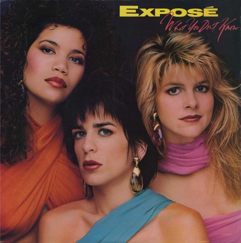 Expose - What You Don't Know (1989) LP