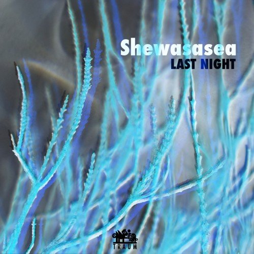 Shewasasea - Last Night (2017)