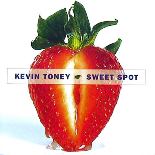 Kevin Toney Lovescape 1994 320kbps DOWNLOAD on ISRABOX