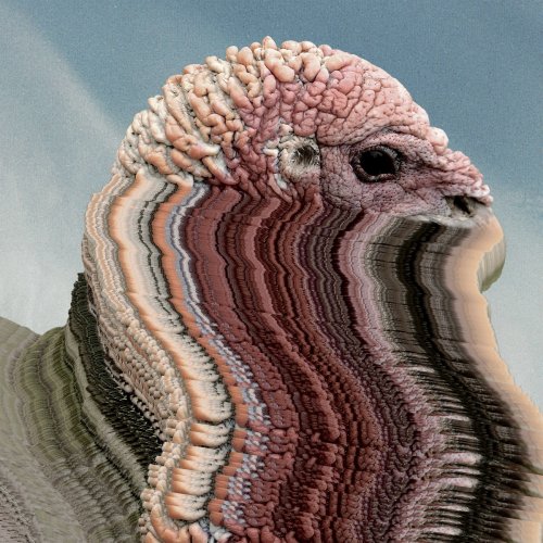 Holy Fuck - Bird Brains EP (2017)