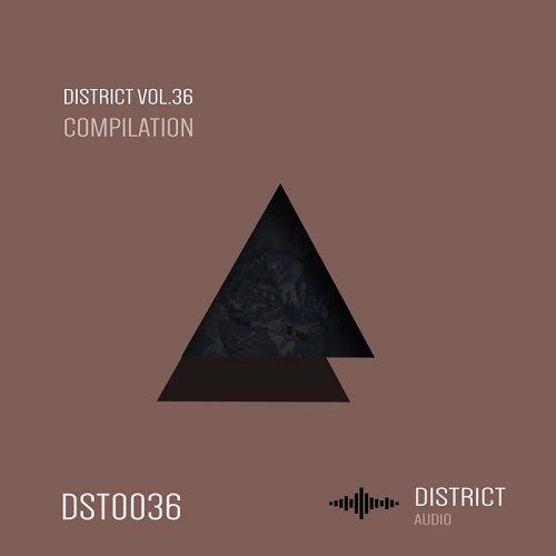 VA - District 36 (2017)