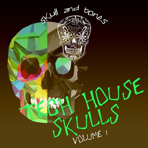 VA - Tech House Skulls Vol.1 (2017)
