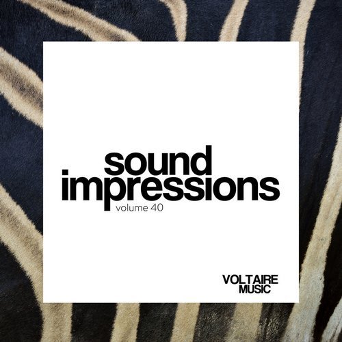 VA - Sound Impressions Volume 40 (2017)