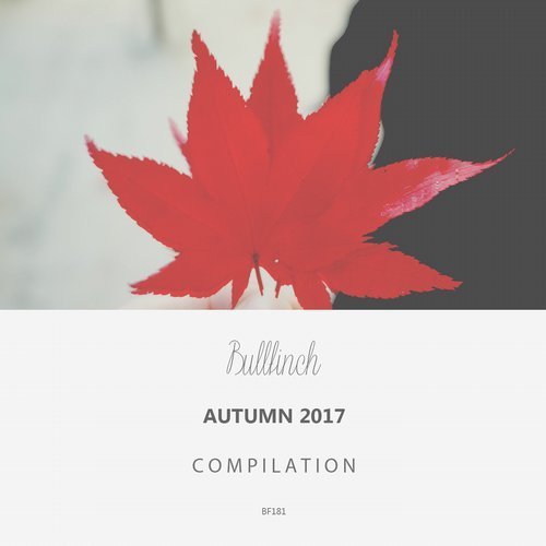 VA -  Bullfinch Autumn 2017 Compilation (2017)