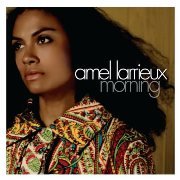 Amel Larrieux - Morning (2006), 320 Kbps