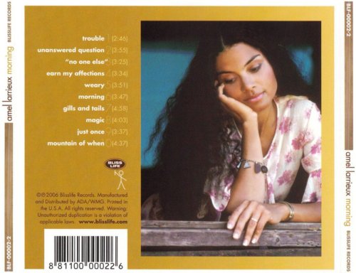 Amel Larrieux - Morning (2006), 320 Kbps