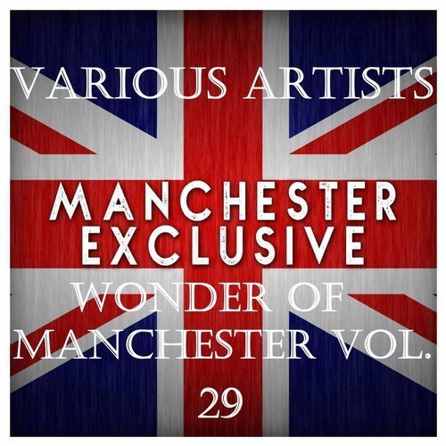 VA - Wonder Of Manchester Vol.29 (2017)