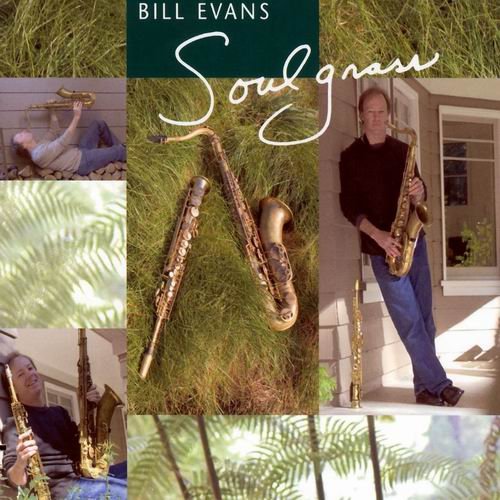 Bill Evans - Soulgrass (2005) 320 kbps