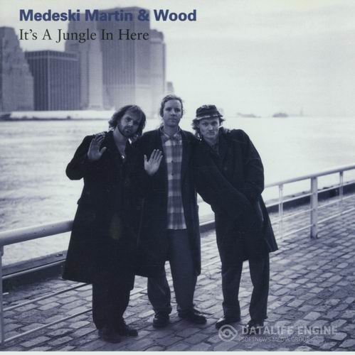 Medeski Martin & Wood - It's A Jungle In Here (1993) FLAC
