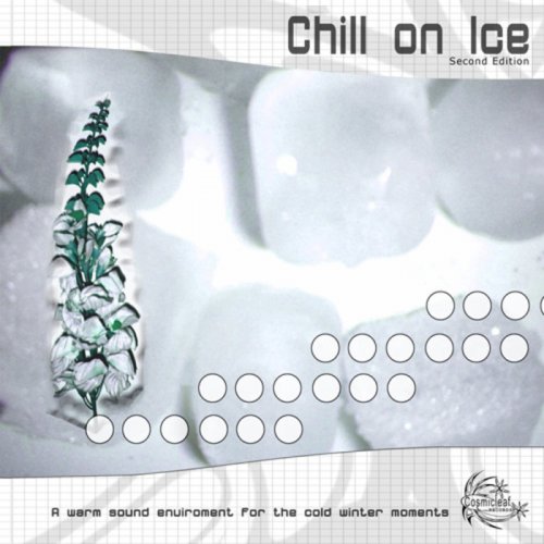 VA - Chill On Ice SE (2006)