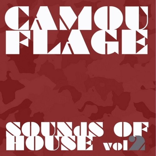 VA - Camouflage Sounds Of House Vol.2 (2017)
