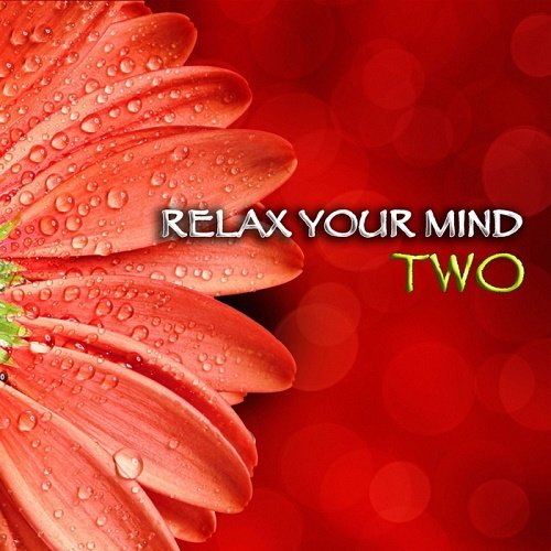 VA - Relax Your Mind Two (2017)