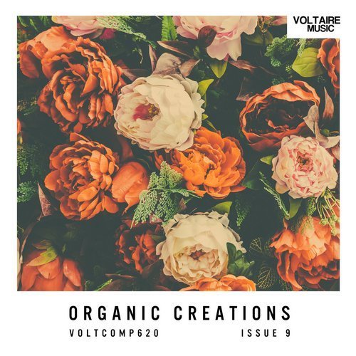 VA - Organic Creations Issue 9 (2017)