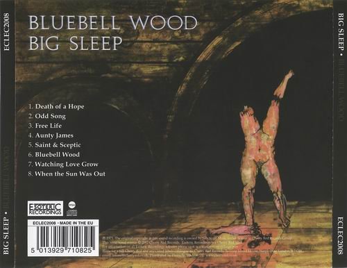 Big Sleep - Bluebell Wood (1971)