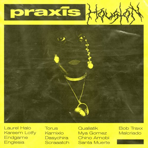 VA - Praxis Houston (2017)