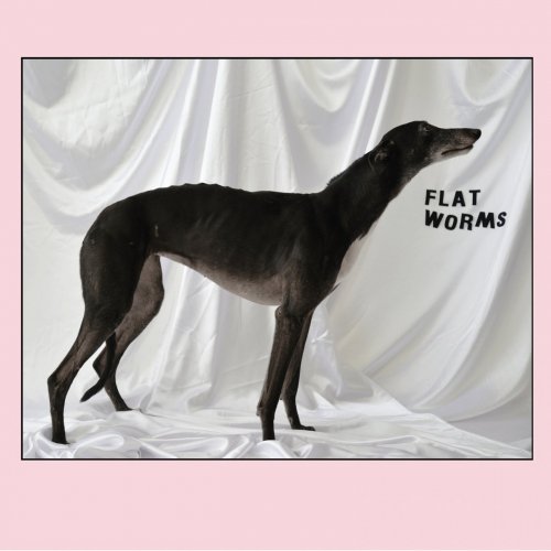 Flat Worms - Flat Worms (2017)