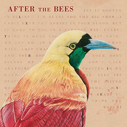 After the Bees - Let's Rise! (2017)