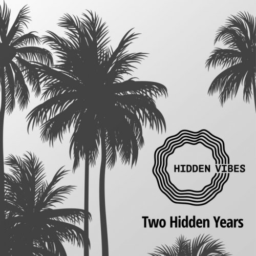 VA - Two Hidden Years (2017)