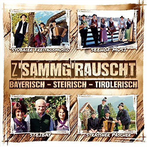 VA - Z'sammg'rauscht (Bayerisch - Steirisch - Tirolerisch) (2016)