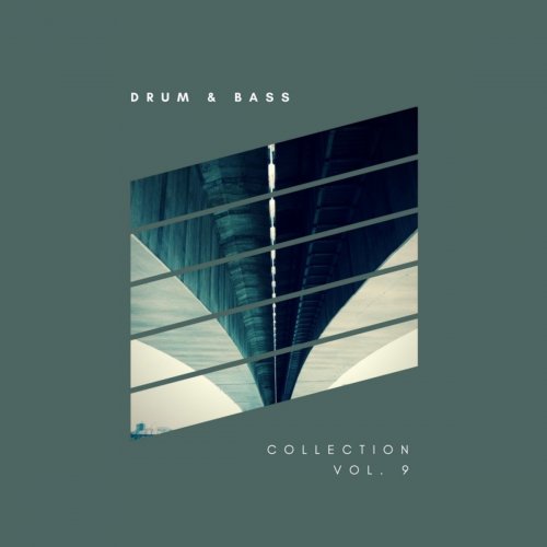 VA - Sliver Recordings: Drum & Bass, Collection, Vol. 9 (2017) FLAC