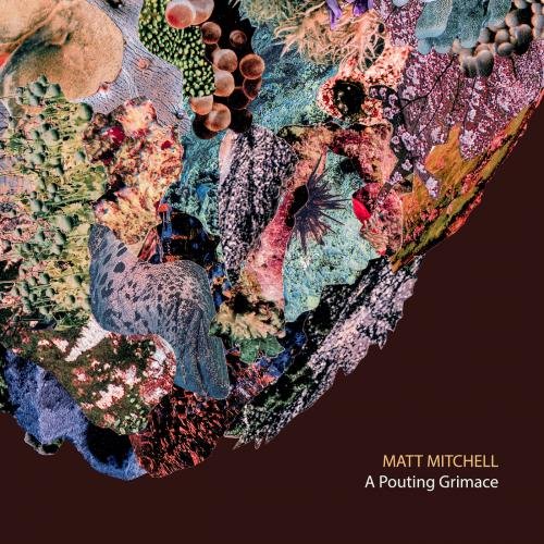 Matt Mitchell - A Pouting Grimace (2017) [FLAC]