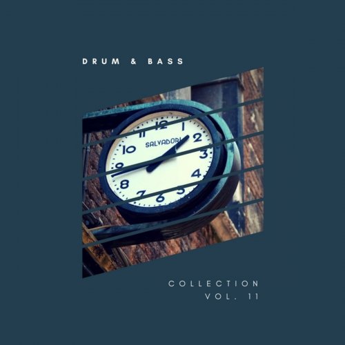 VA - Sliver Recordings: Drum & Bass, Collection, Vol. 11 (2017) FLAC