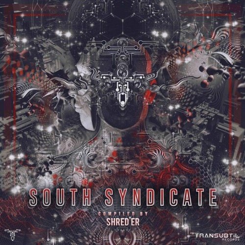 VA - South Syndicate (Compiled by Shreder) (2017)