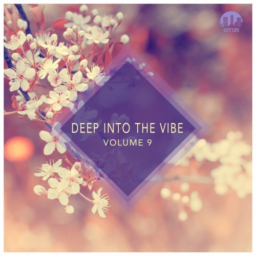 VA - Deep Into The Vibe Vol.9 (2017)