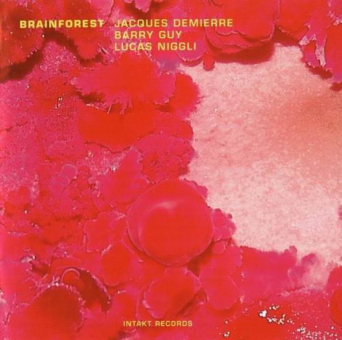 Jacques Demierre - Brainforest (2004) 320 kbps+CD Rip