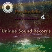 VA - Psychedelic Adventure 4  (2017)
