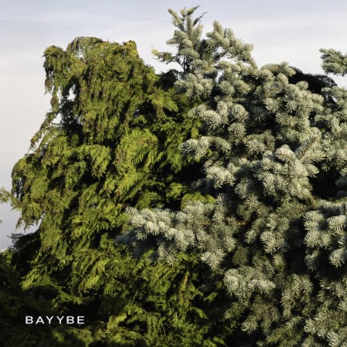 Bilo 503 - Bayybe (2017)