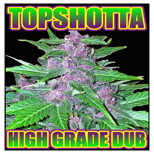 Topshotta - High Grade Dub (2017)