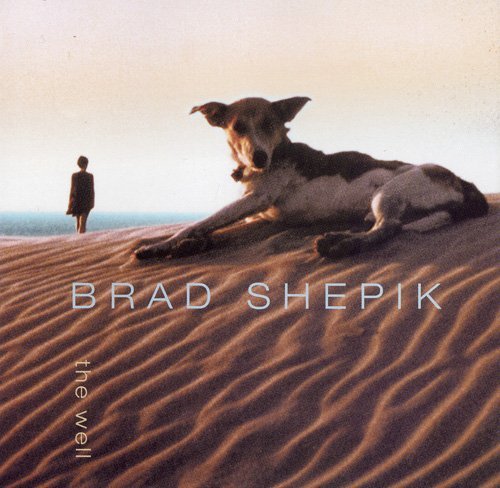 Brad Shepik - The Well (2000)