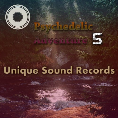 VA - Psychedelic Adventure 5 (2017) FLAC