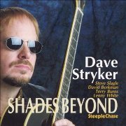 Dave Stryker - Shades Beyond (2004)