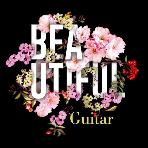 VA - Beautiful Guitar (2017)