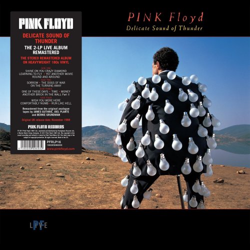 Pink Floyd - Delicate Sound Of Thunder (1988, Remastered 2017) [DSD 128 Vinyl Rip]