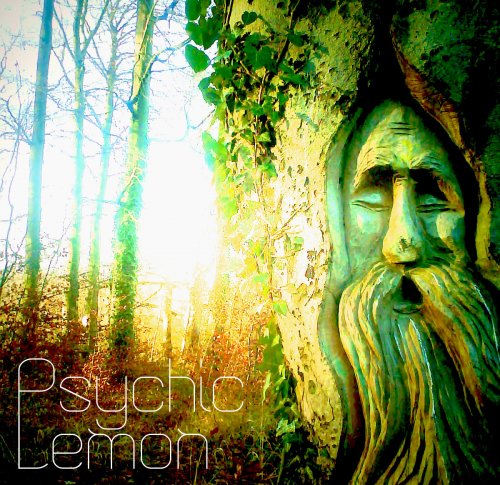Psychic Lemon - Psychic Lemon (2016)