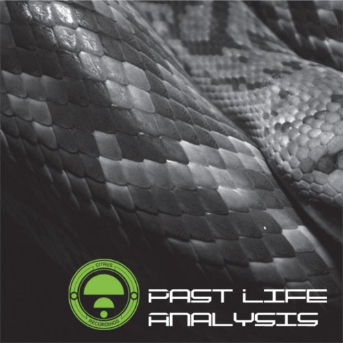 VA - Past Life Analysis (2010) flac