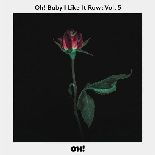 VA - Oh! Baby I Like It Raw, Vol. 5 (2017)
