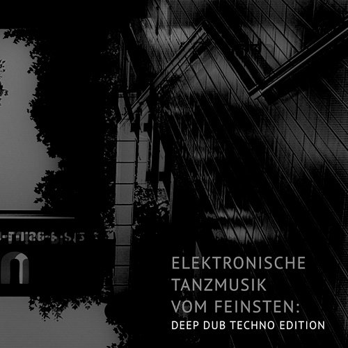 VA - Elektronische Tanzmusik Vom Feinsten: Deep Dub Techno Edition (2018)