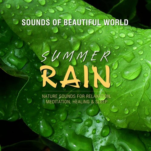 Sounds Of Beautiful World - Summer Rain (2017) flac