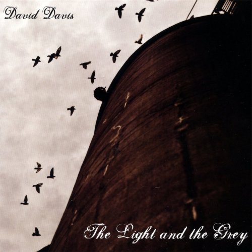 David Davis – The Light And The Grey (2008)