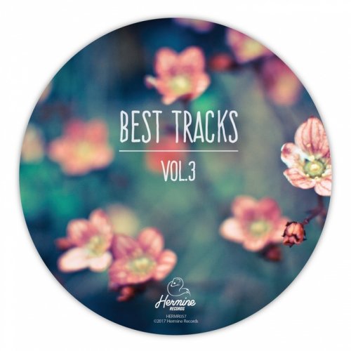 VA - Best Tracks, Vol. 3 (2018)