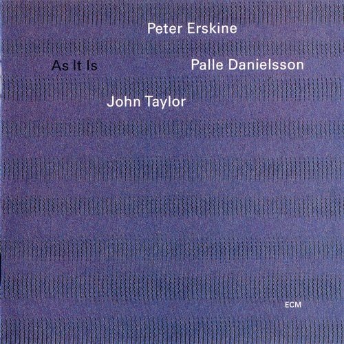 Peter Erskine - As It Is (1996) 320 kbps